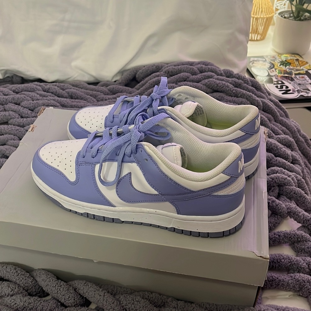 brand new dunks